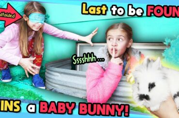 Blindfold Last To Be FOUND Wins CUTE Baby BUNNY!! Tannerites Hide and Seek Game!