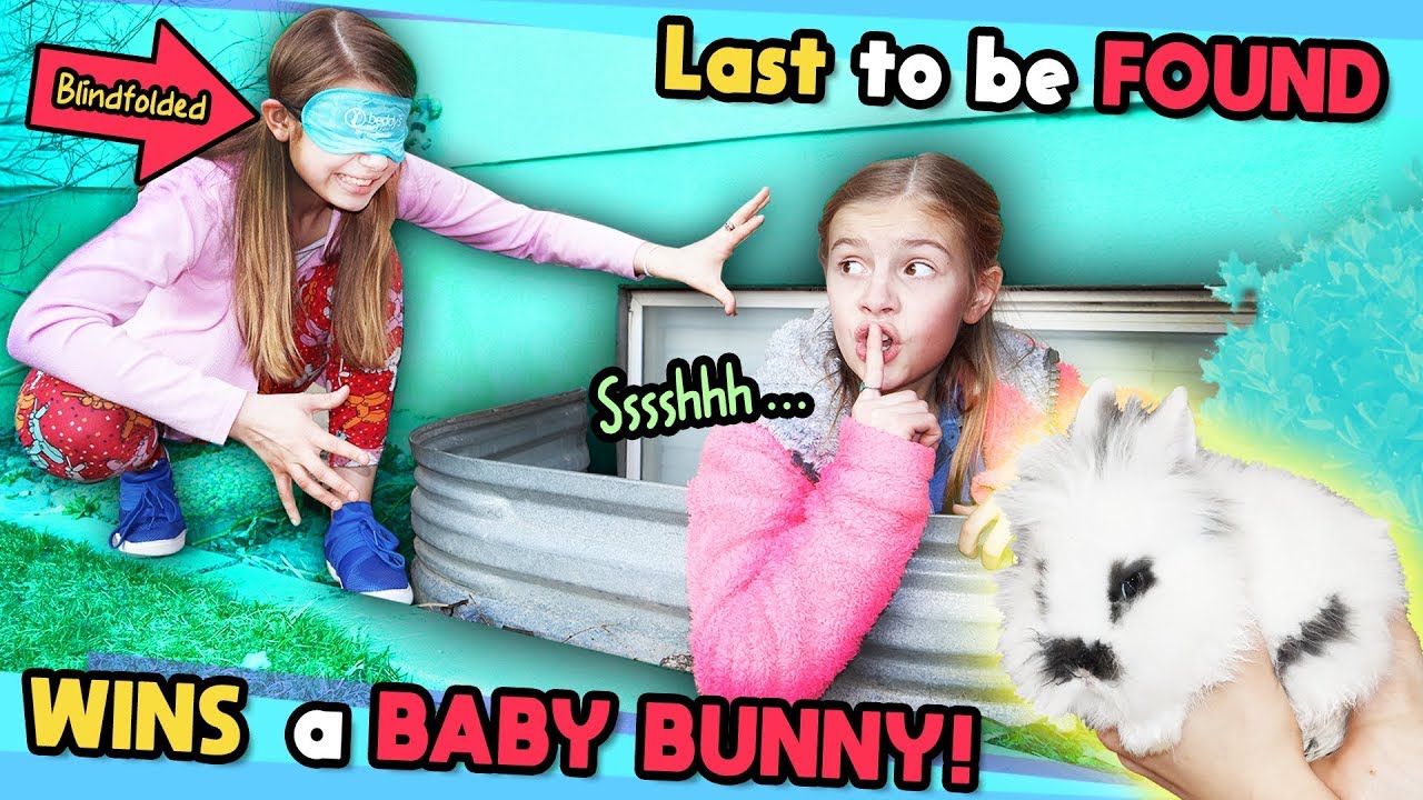 Blindfold Last To Be FOUND Wins CUTE Baby BUNNY!! Tannerites Hide and Seek Game! Blindfold Last To Be FOUND Wins CUTE Baby BUNNY!! Tannerites Hide and Seek Game!
