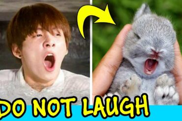 Jungkook Being Bunny - Try Not To Laugh Challenge
