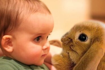 Cute Babies and Rabbits Compilation
