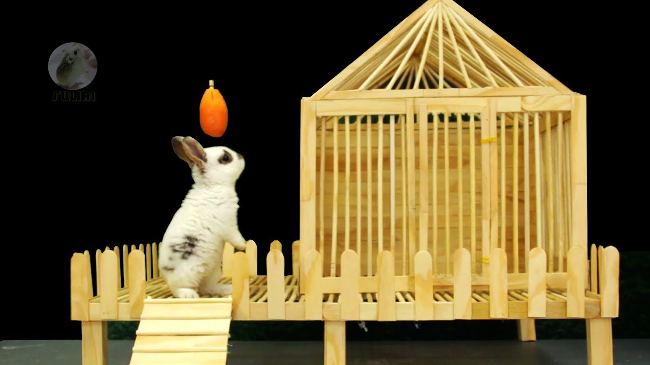 Building a House for Rabbit 🏠 How to Make Cute Bunny Cage