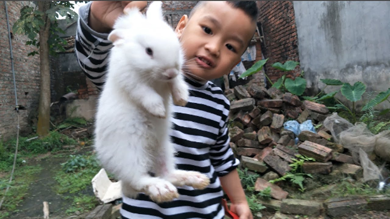 cute baby and Bunny: outside playing and find out two baby rabbits - Cute Babies & Animals