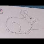 How To Create Cute Bunny Drawings