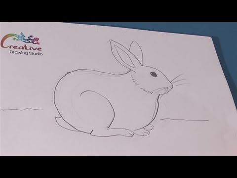 How To Create Cute Bunny Drawings