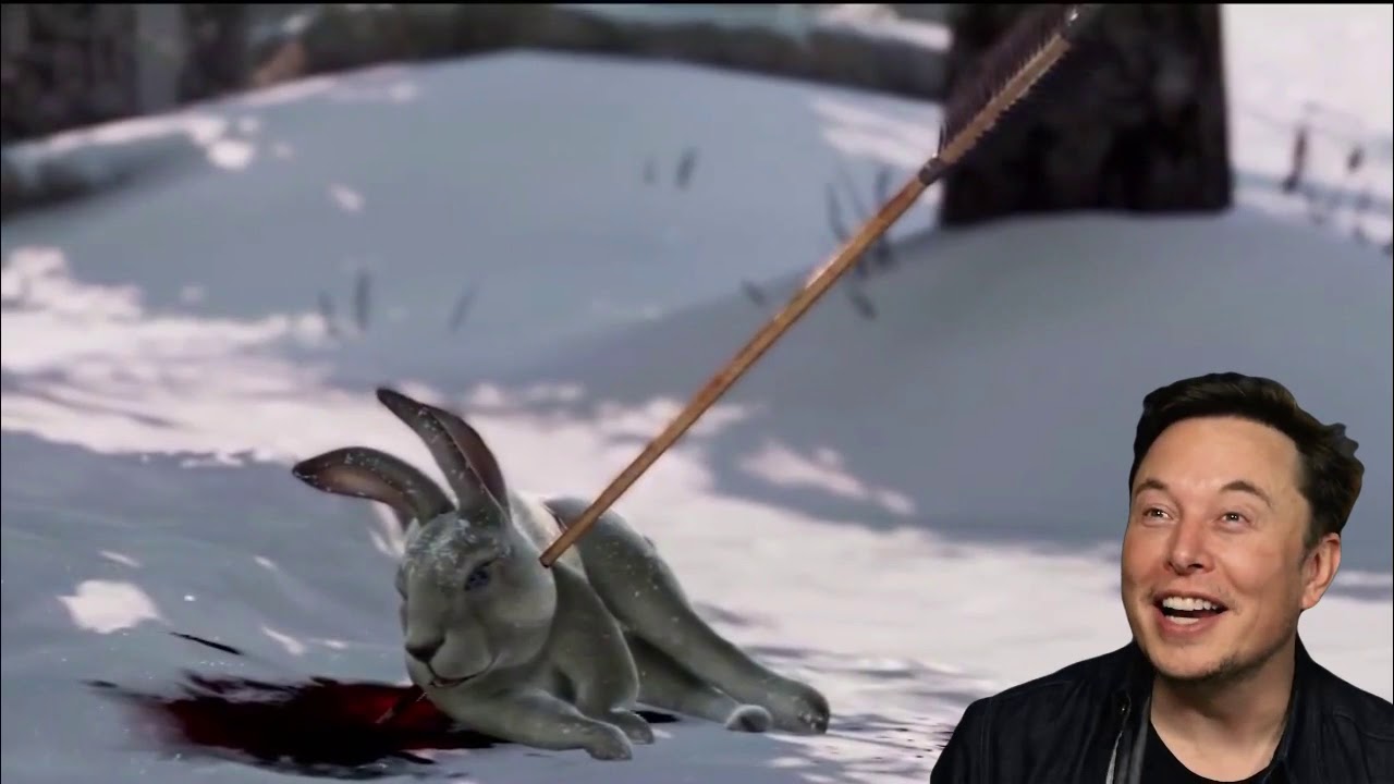 Elon Musk reacts to the cute bunny scene from The Last Of Us