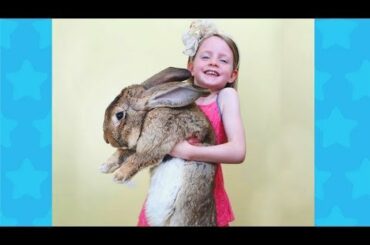 Cute Babies and Rabbits Become Best Friends | Funny Babies and Animals