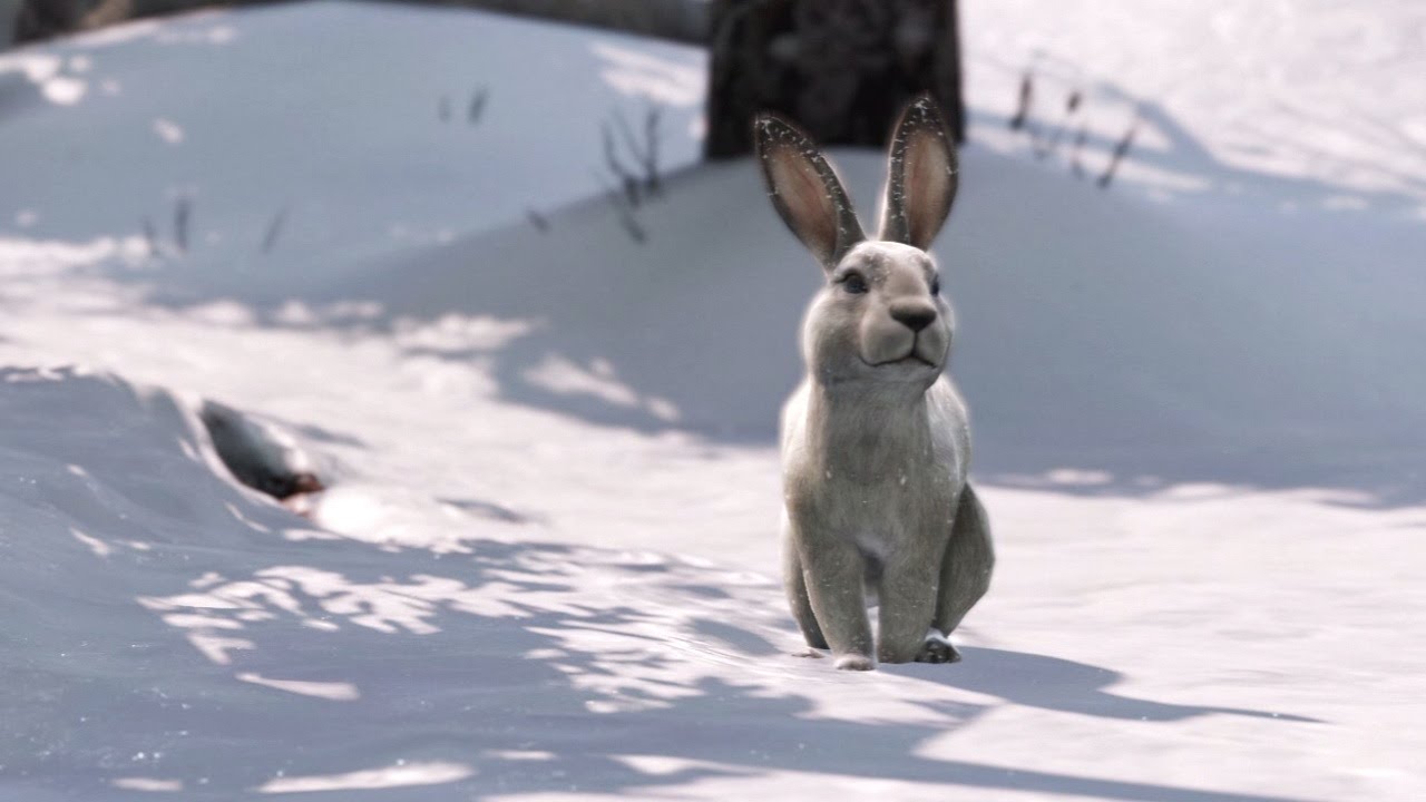 The Last of Us - "Cute Bunny Rabbit" Cutscene {Full 1080p HD}