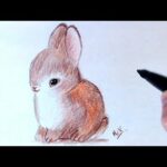 How to Draw Cute Bunny - Step by Step Tutorial