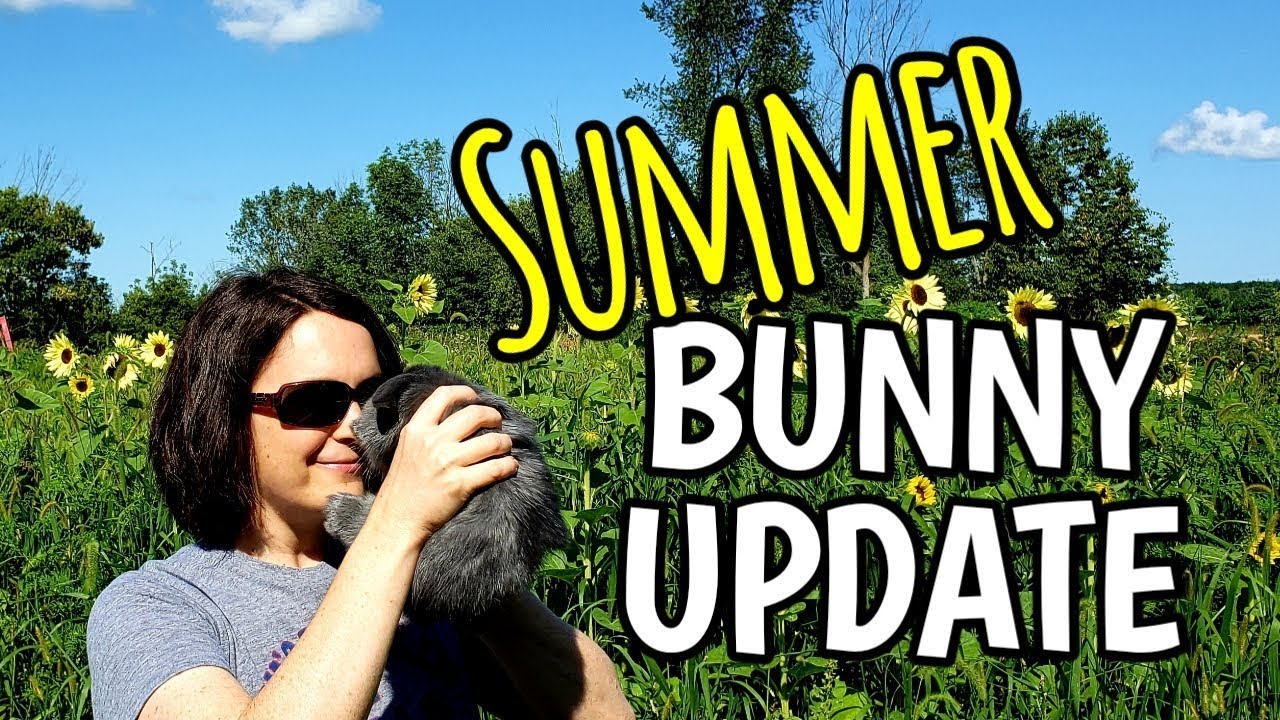 Summer Bunny Tour 2019 (+ Aquarium Tour & NEW YouTube Channel!)