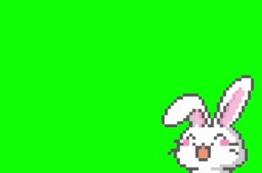 ✔️GREEN SCREEN EFFECTS: cute bunny