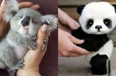 Cute Baby Animals Videos – Funny Baby Animals – Cute Moment of the Animals – Soo Cute Video