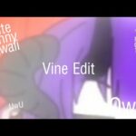 Funimate Vine Edit [DENOVO] Para Cute Bunny Kawaii .こども達