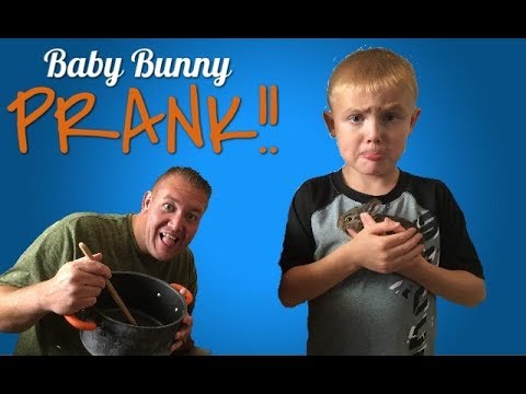 Baby Bunny Prank