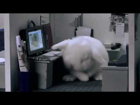 Bunny Desk Computer