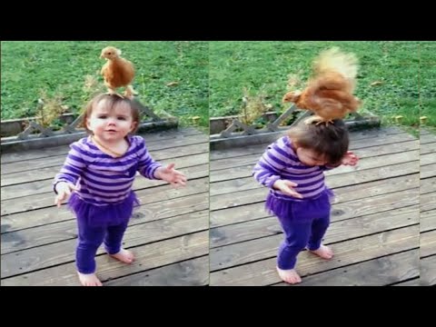Funny Animals, Kids and Baby Fails