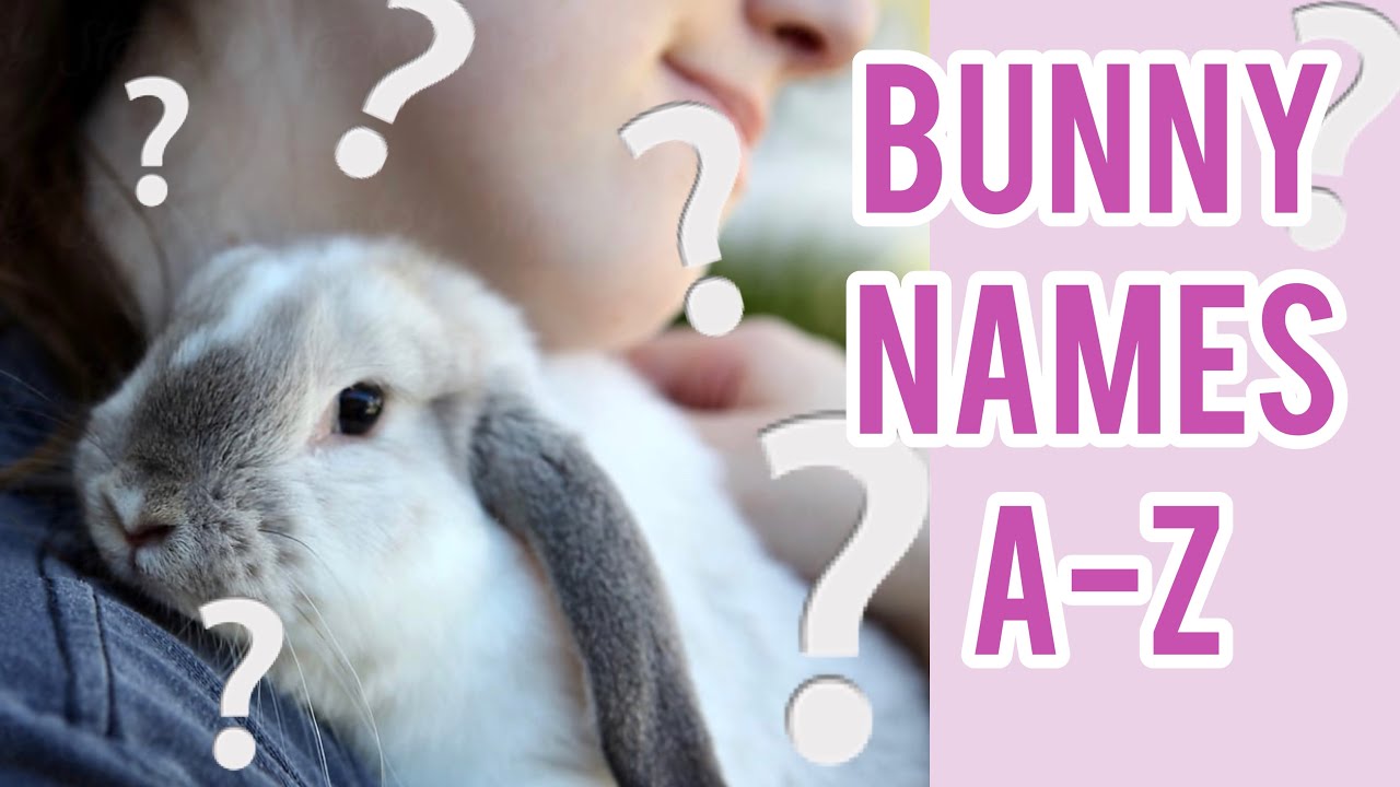 What To Name My New Bunny? ~ Cute Bunny Names A-Z List