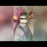 Cute rabbit gets very stylish haircut from her owner