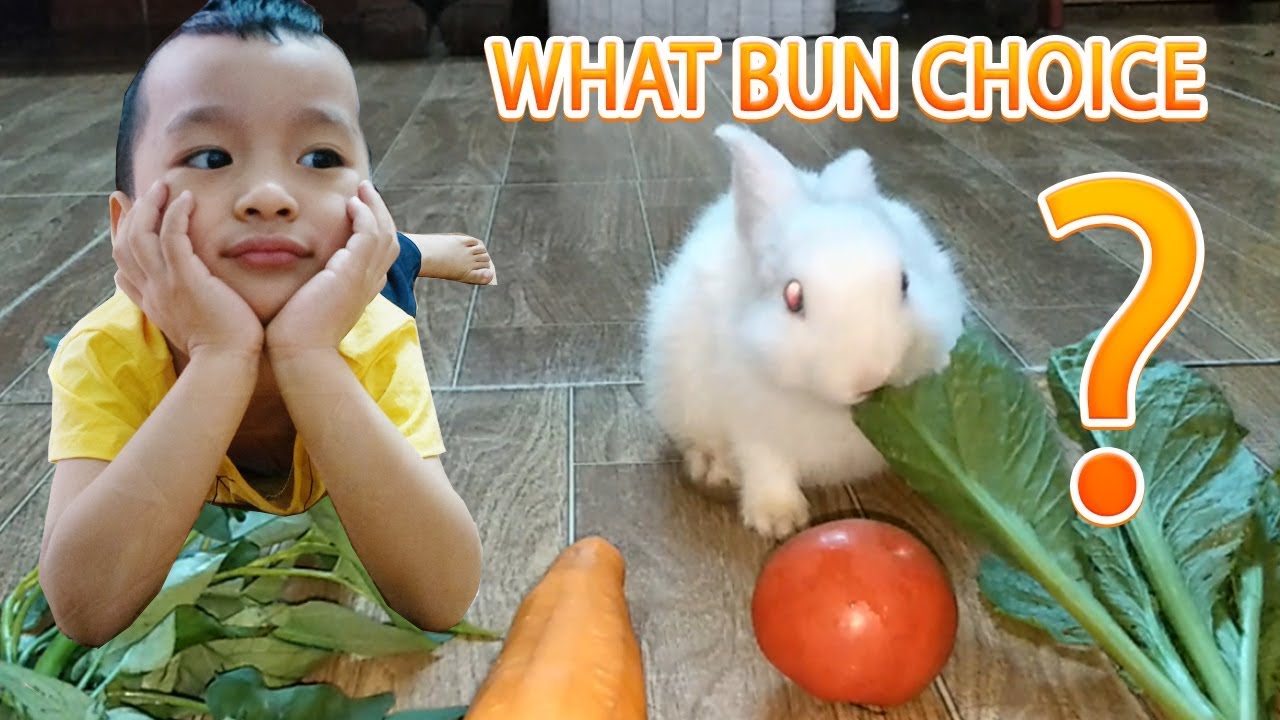 what does rabbit eat? What Bun Choice? Funny Rabbits - Funny Baby Videos - Cute Rabbit Video