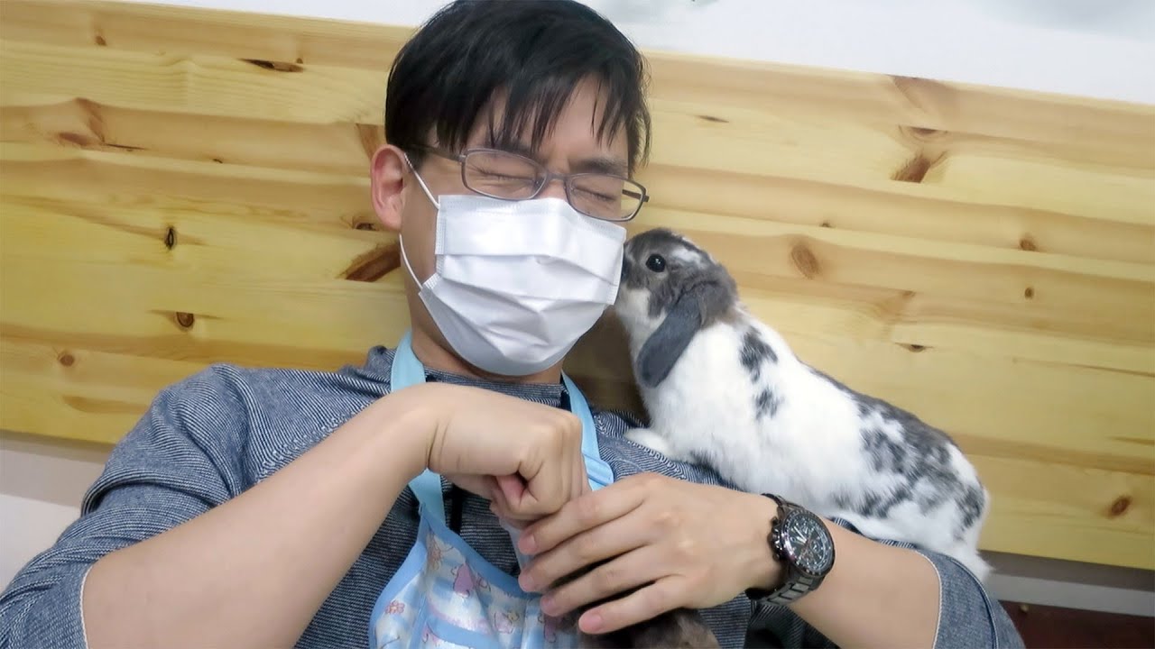 Kissed by the Cutest Bunny in the World, at the Rabbit Cafe!