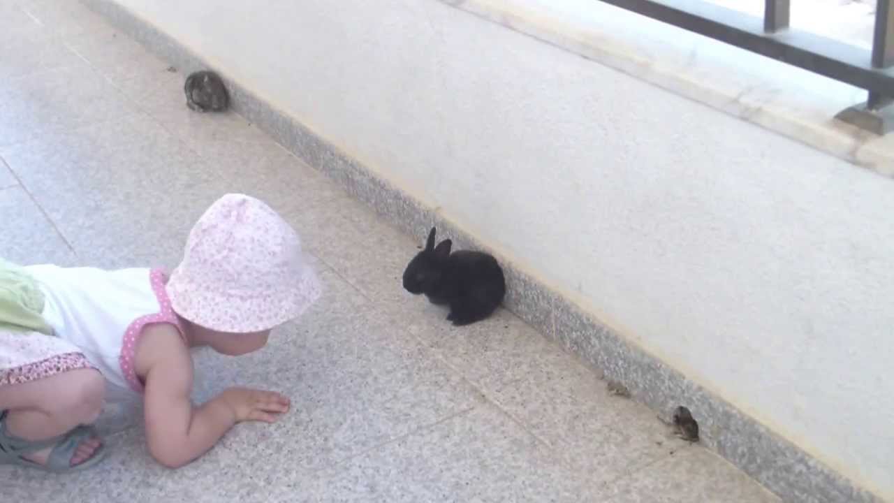 Cute baby and rabbit