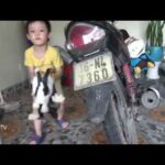 Cute rabbit and boy ..., lần đầu thấy cái ấy của anh bạn thỏ vện