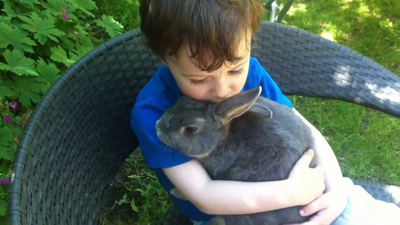 Hugging a cute rabbit