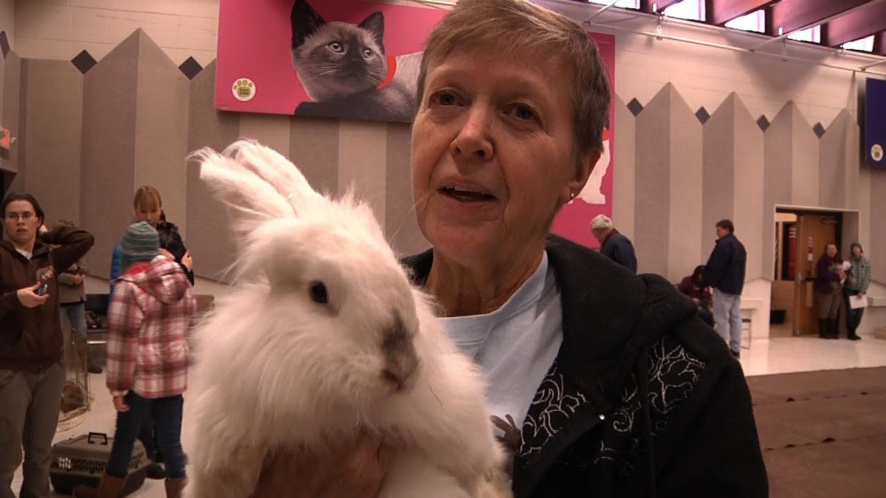 Hop, Jump and Play - Rabbit Agility Documentary - Cute!