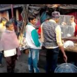 Cute Rabbit Sellers & Breeders At Kolkata Galiff Street pet Market P-1