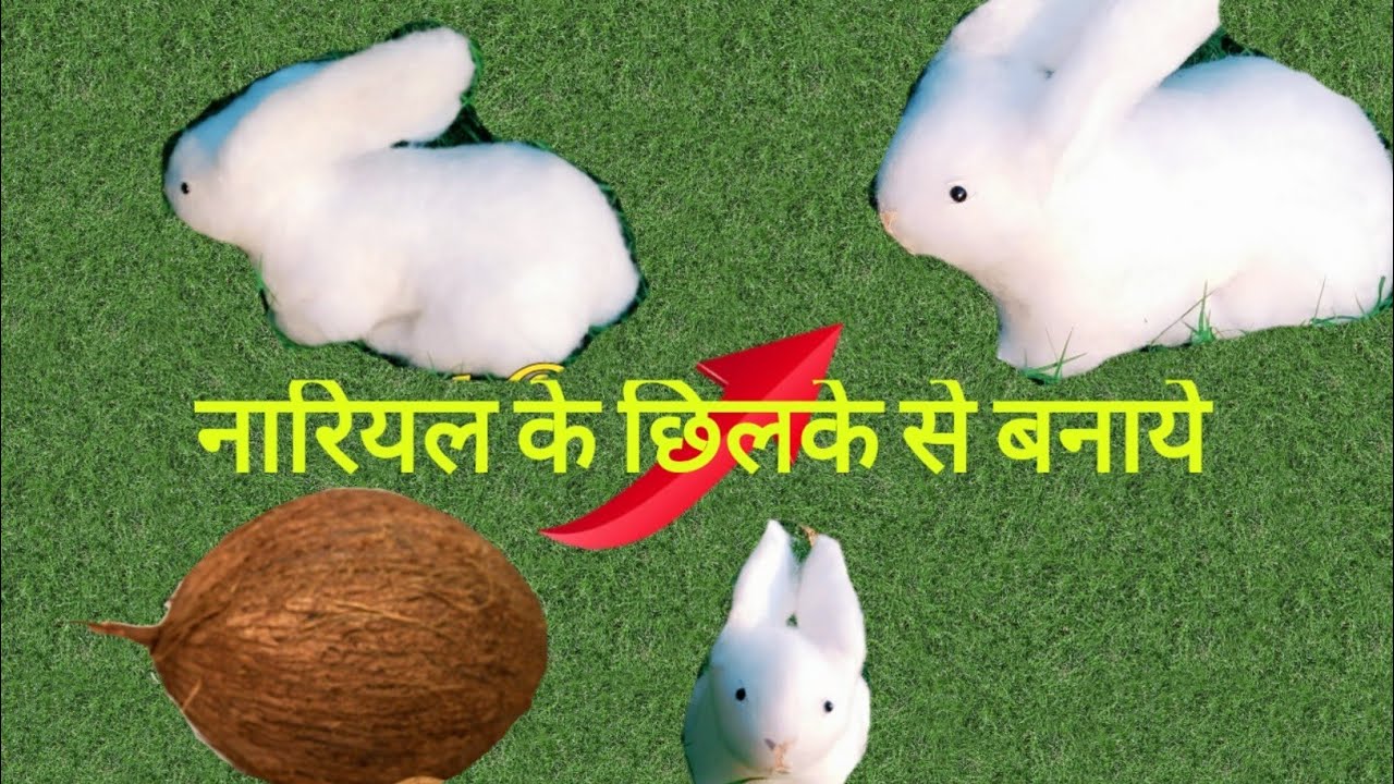 How to make cute rabbit from  waste coconut / Best way to reuse  empty bag/craftzone4u-21