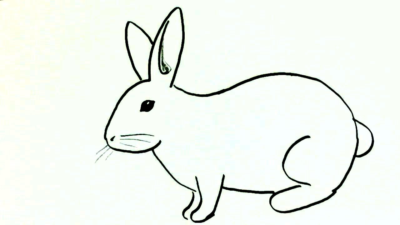 How to draw a  rabbit or bunny- in easy steps for children. beginners