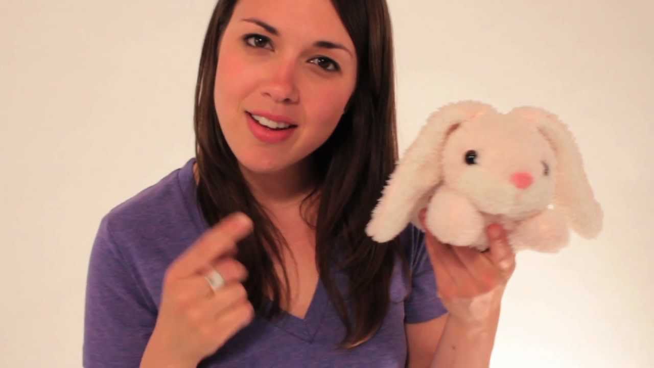 Hide Your Condoms! Help a Good Cause. Buy cute bunny online that hides Condoms, Great gift!