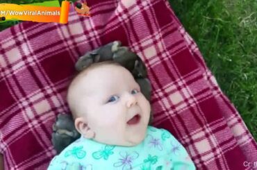 Cute Friendship Babies and Rabbits 🐰🐰🐰 Baby and Bunny Rabbit playing together Compilation