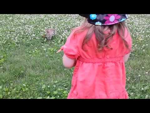 Cute rabbit hops up to little girl with dog toy