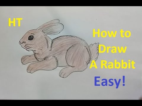 How to Draw a cute Rabbit step by step, easy! Draw cute animals - HT2017