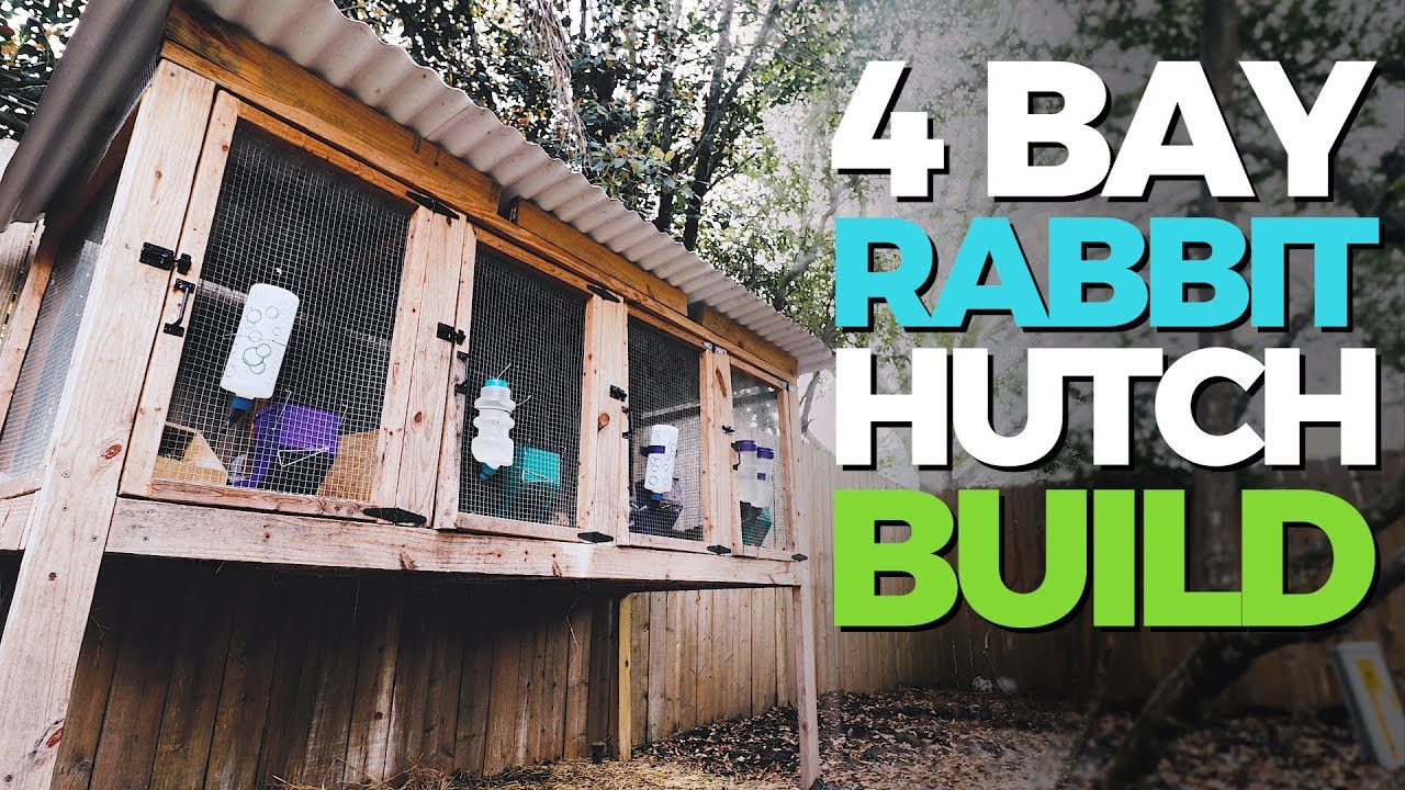 HOW TO BUILD A RABBIT HUTCH