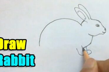 How to Draw a Rabbit