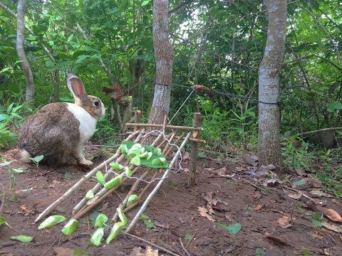 Amazing Quick Rabbit Trap - How To Catch Rabbit With Rabbit Foot Trap - Catching Rabbits With Trap
