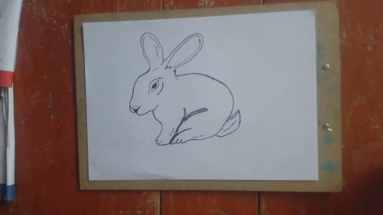 How to draw and colour a cute rabbit,educational tutorial for kids and beginners,drawing lessons