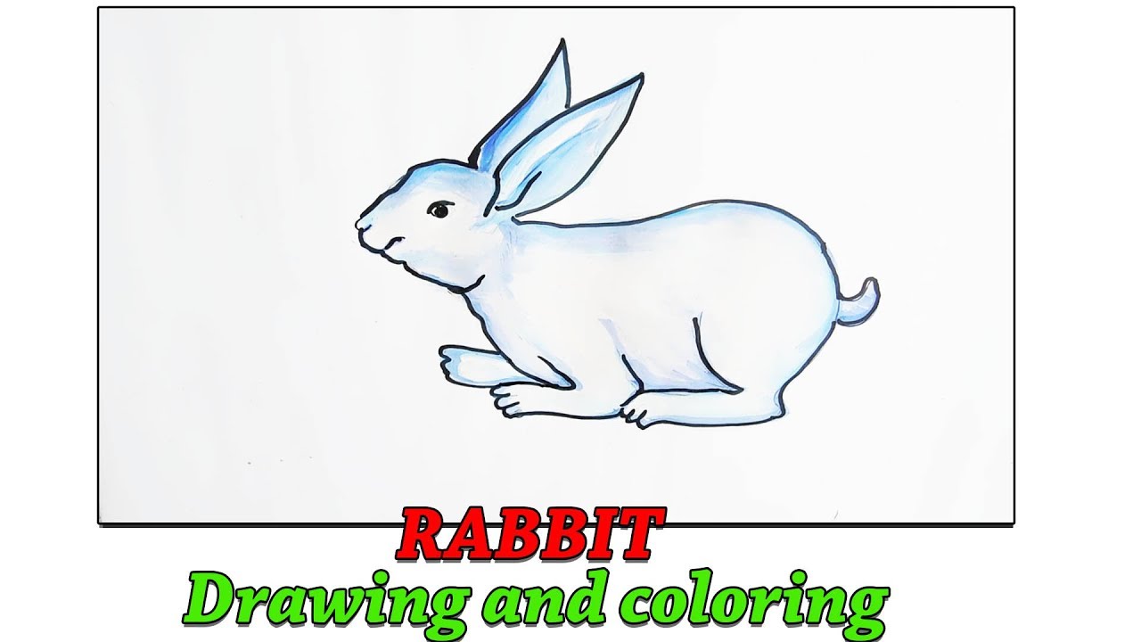Cute Rabbit Drawing and coloring ll How to Draw a Bunny Easy Step by Step ll NGH Toy Art