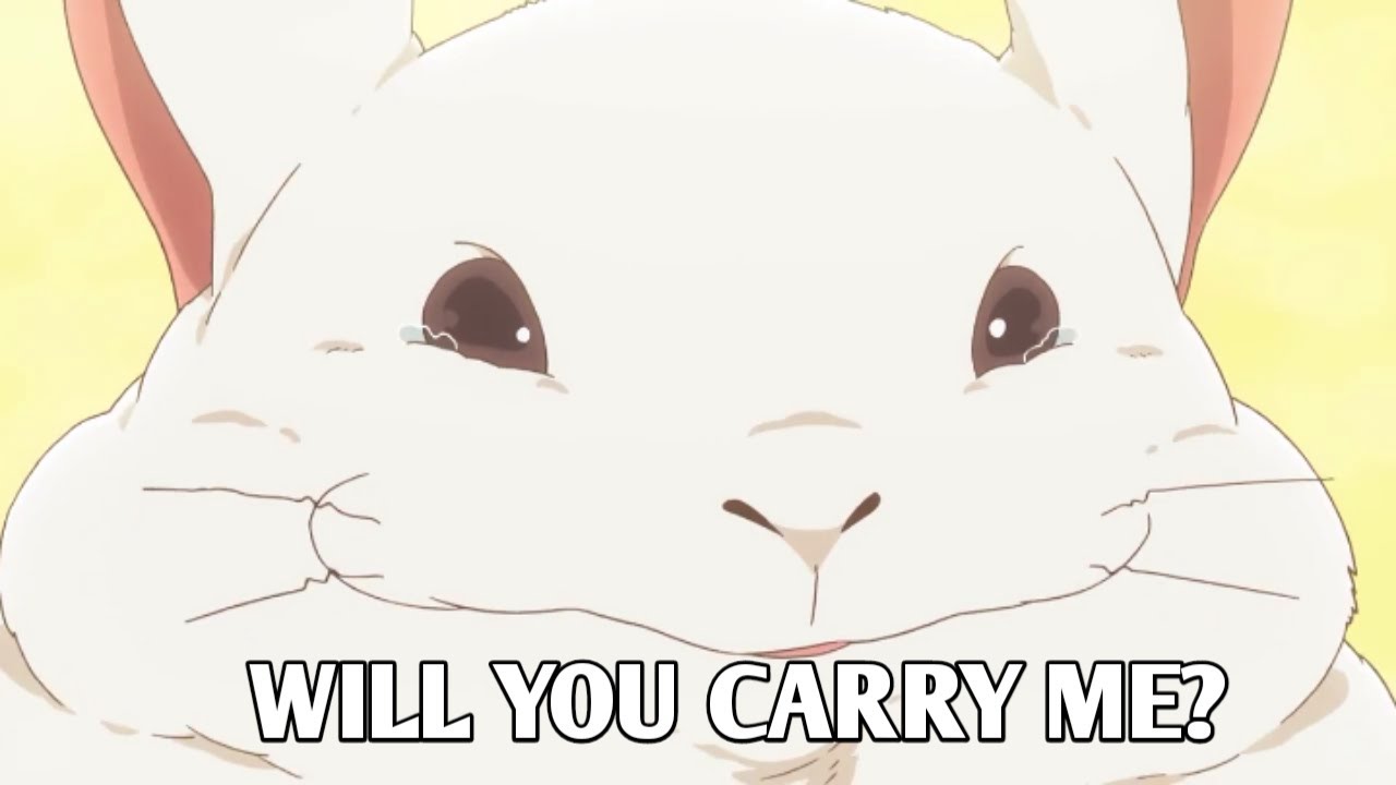 Cute Rabbit In The Anime - Senryuu Shoujo [Episode 6]