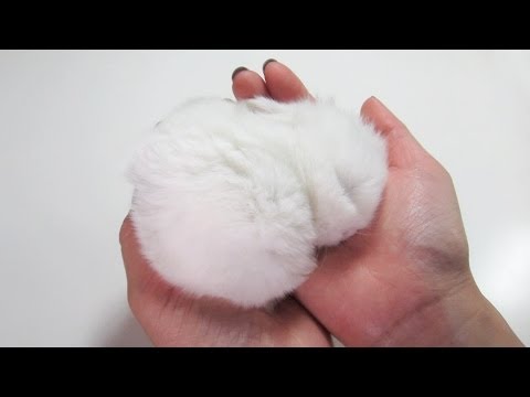 Fluffy Bunny Furball, Sleeping in my Hand!