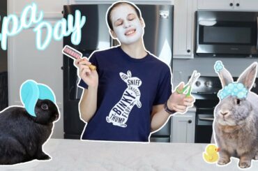 Giving my Rabbits a Spa Day