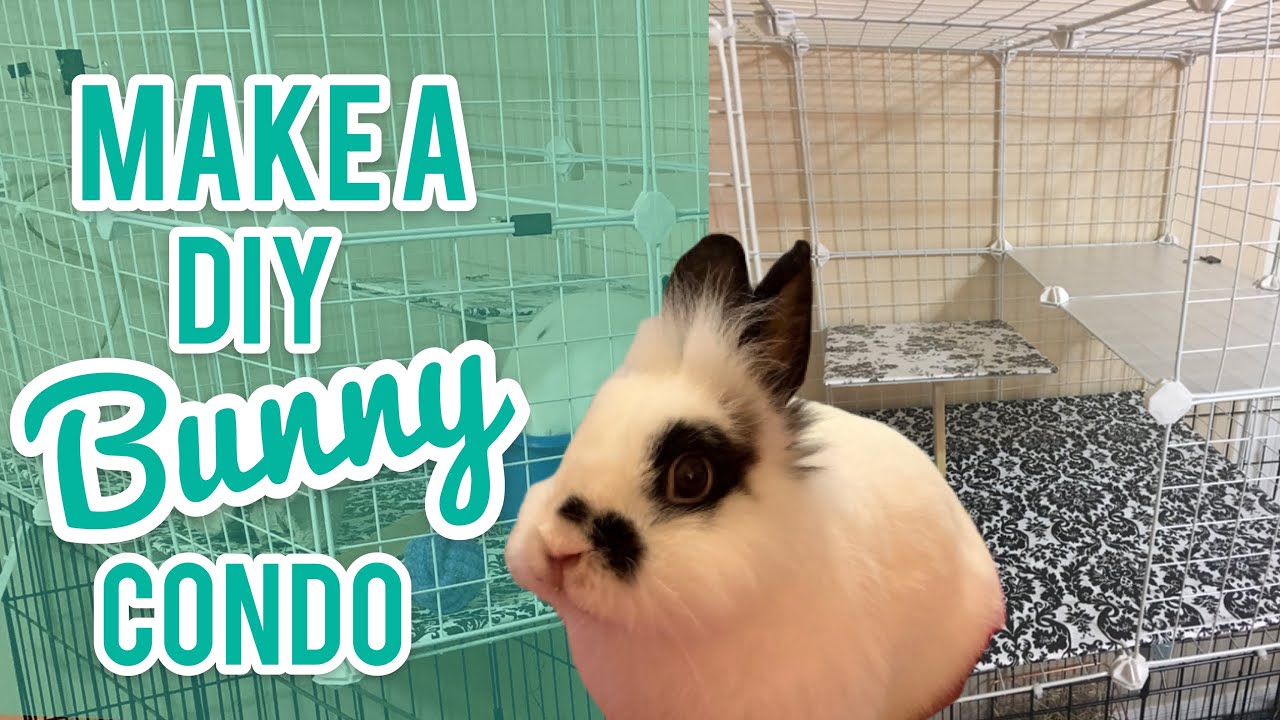 How To Make a DIY Rabbit Cage - CUTE & CHEAP BUNNY CONDO - NIC Bunny Cage 🐰❤️