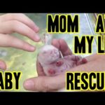 Mama Rabbit Ate My Leg - Baby Cannibalism Survivor