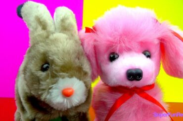 Cute Happy Dog Fifi  & Cute Happy Bunny Rabbit Thumper Lots of FUN