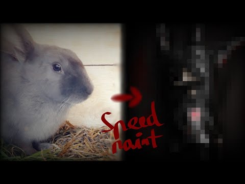 Turning my cute bunny into something edgy || Speedpaint || 50 Subs special ||