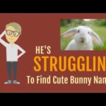 Cute Bunny Names