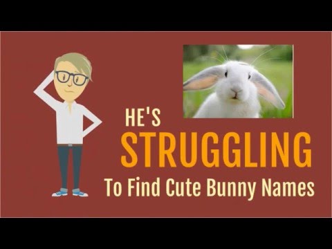 Cute Bunny Names