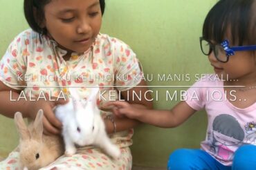 Cute Baby Rabbit | Serunya Inara Bermain Dengan Anak Kelinci Yang Lucu Punya Mba Bilqis
