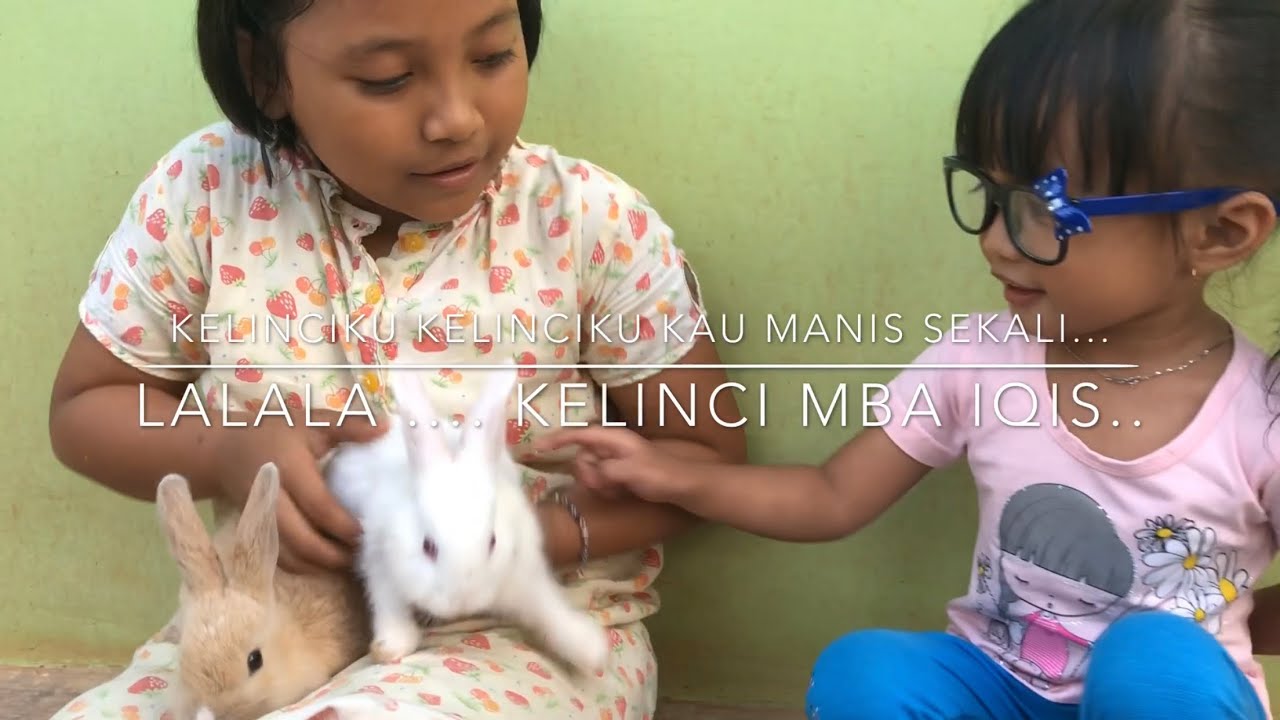 Cute Baby Rabbit | Serunya Inara Bermain Dengan Anak Kelinci Yang Lucu Punya Mba Bilqis